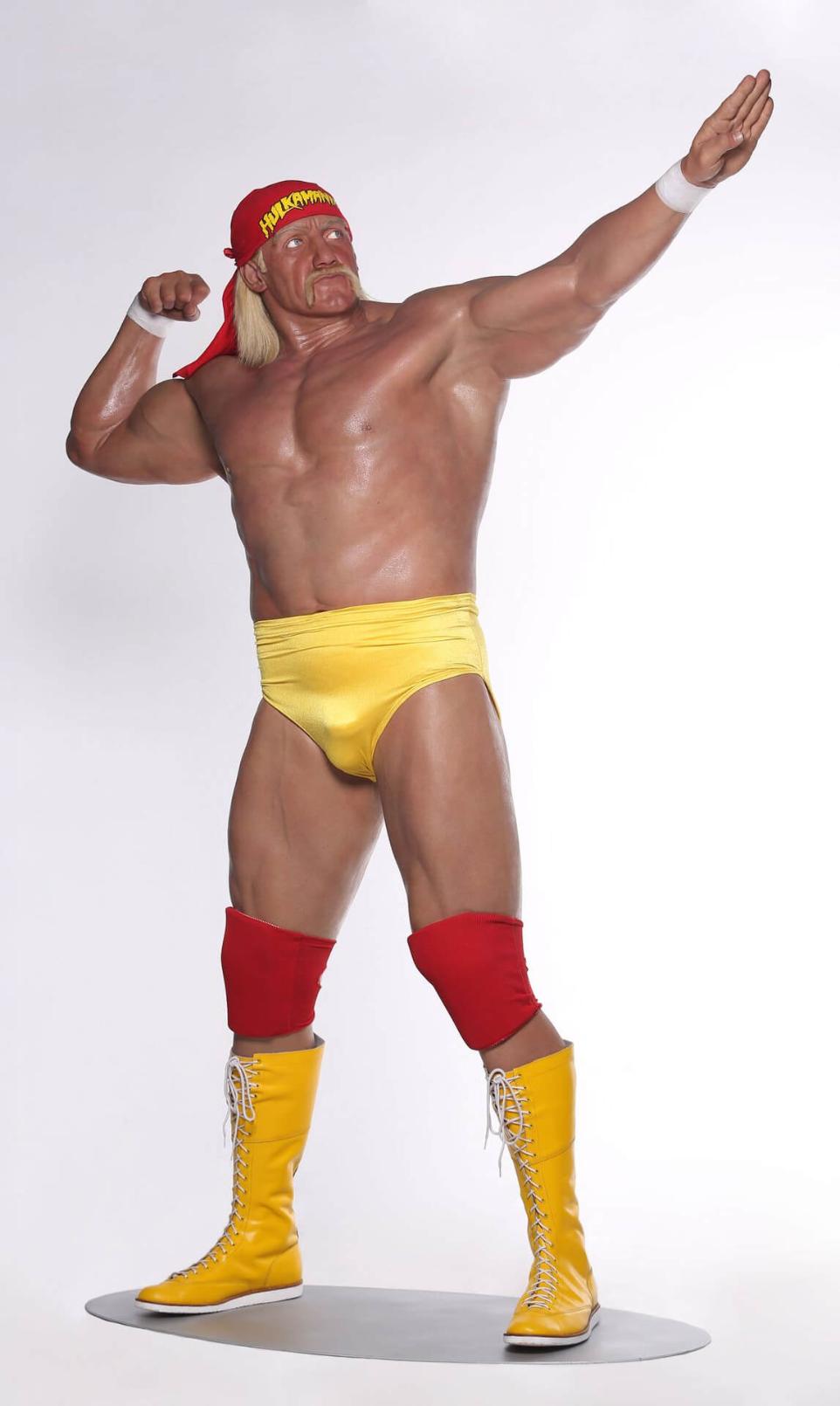 hulk hogan