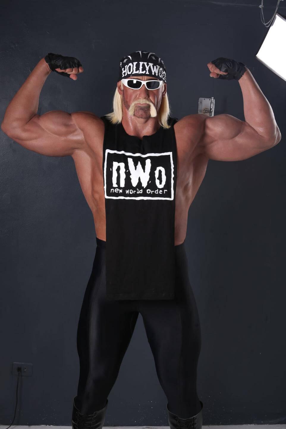 hollywood hulk hogan