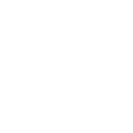 Walt Wizard
